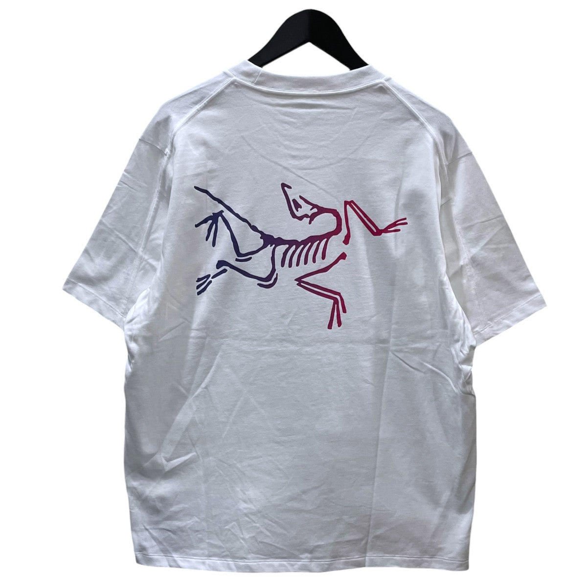 ARC’TERYX 24AW プリントTシャツ Kragg Cotton Logo SS クラッグ コットン ロゴ ショートスリーブ X000008464 古着・中古-2枚目のアイテム画像