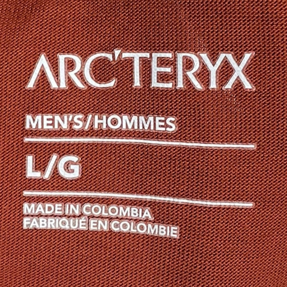 ARC’TERYX 24SS プリントTシャツ Arc’ Multi Bird Logo SS アーク マルチバード ロゴ ショートスリーブ X000007747 古着・中古-4枚目のアイテム画像