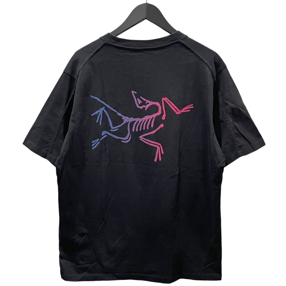 ARC’TERYX 24AW プリントTシャツ Kragg Cotton Logo SS クラッグ コットン ロゴ ショートスリーブ X000008464 古着・中古-2枚目のアイテム画像