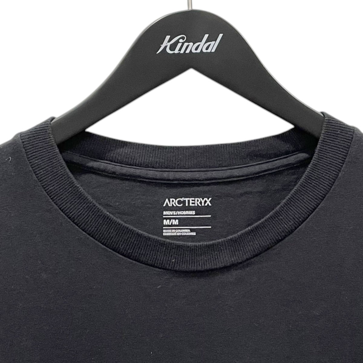 ARC’TERYX 24AW プリントTシャツ Kragg Cotton Logo SS クラッグ コットン ロゴ ショートスリーブ X000008464 古着・中古-3枚目のアイテム画像