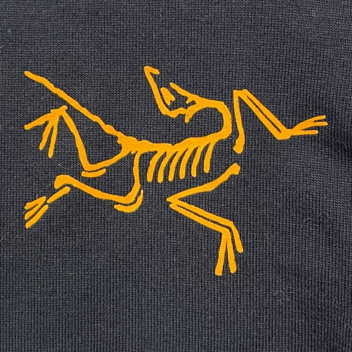 長袖カットソー Arc’Multi Bird Logo LS アークマルチバードロゴ ロングスリーブ X000007746