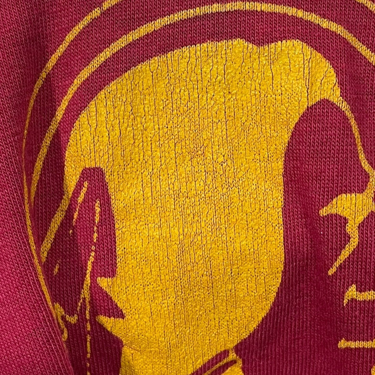 Champion 80s プリントTシャツ 古着・中古-4枚目のアイテム画像