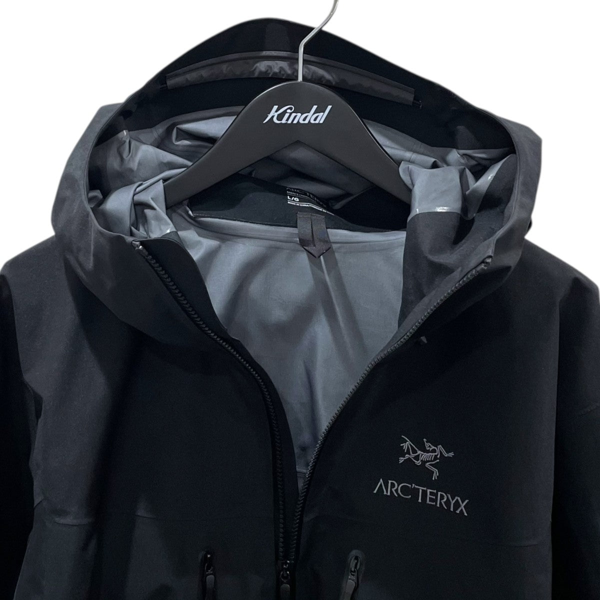 ARC’TERYX マウンテンパーカー Alpha SV Jacket アルファ SV ジャケット X000007555 古着・中古-3枚目のアイテム画像