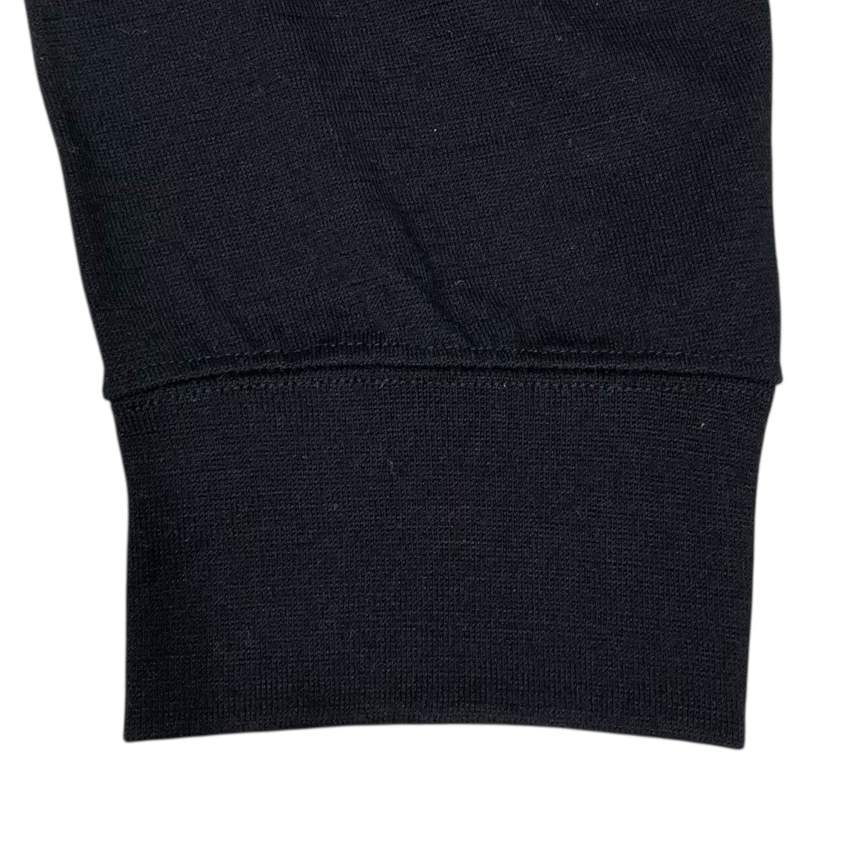 24AW タートルネックウールカットソー MERINO WOOL TURTLENECK SWEAT TEE SHIRTS リノウール タートルネック スウェット ティーシャツ AFW-25044