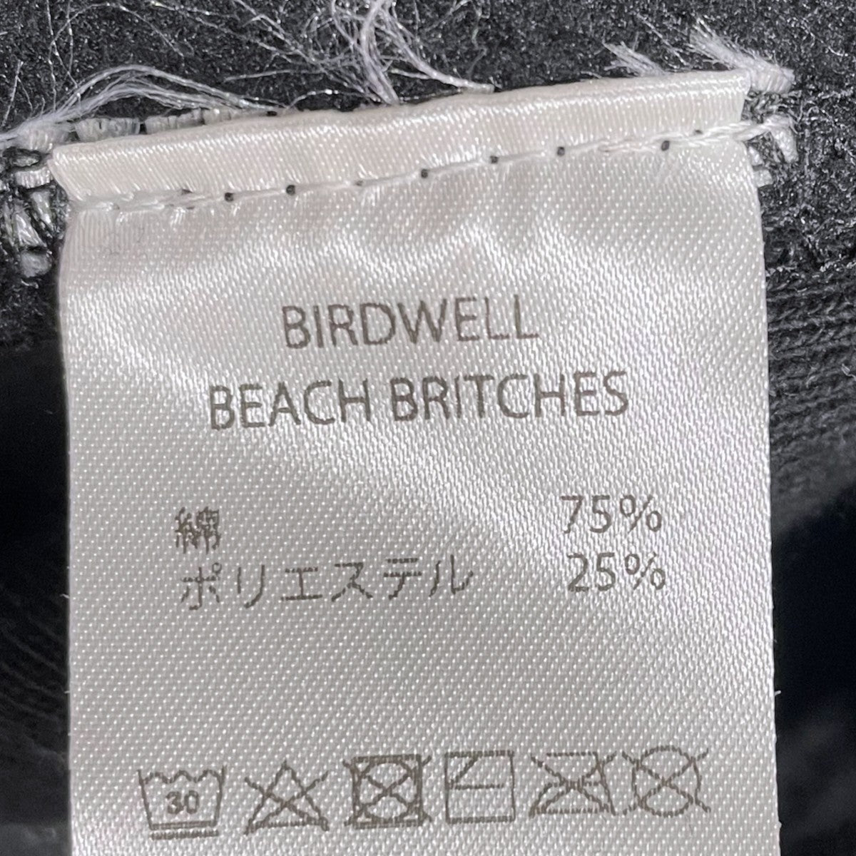 BIRDWELL 24AW ロゴプリントプルオーバーパーカー WORDMARK HOODIE ワードマークフーディ BW-HD-2-JP 古着・中古-6枚目のアイテム画像