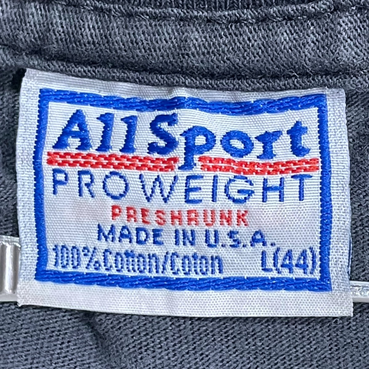 ALL SPORT(オールスポーツ) 90s プリントTシャツ USA製 The Smashing