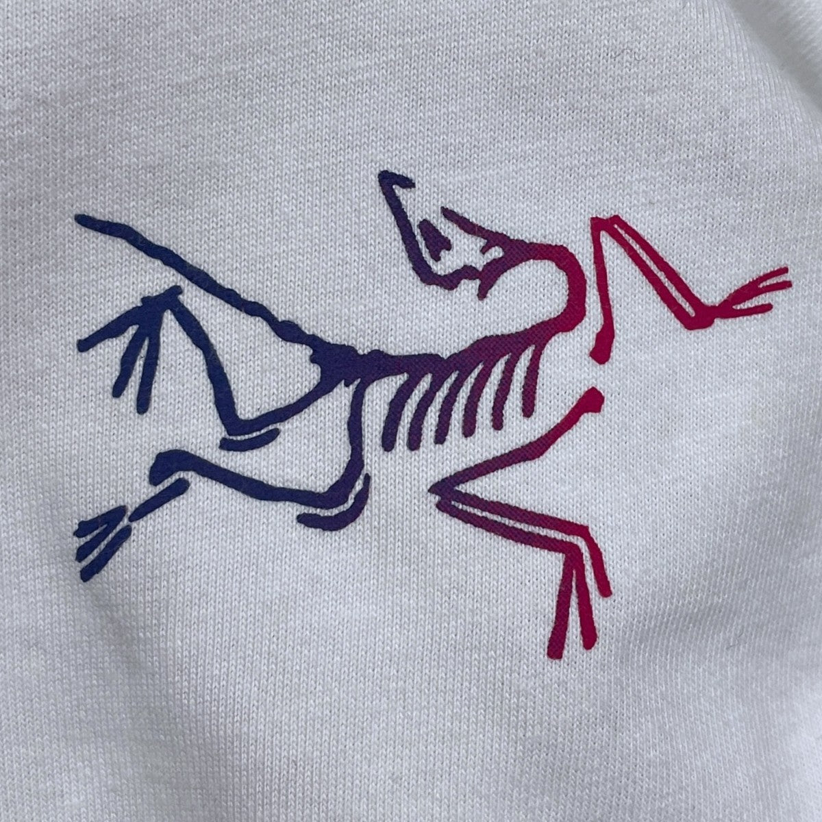 プリントTシャツ Kragg Cotton Logo SS クラッグ コットン ロゴ ショートスリーブ X000008464