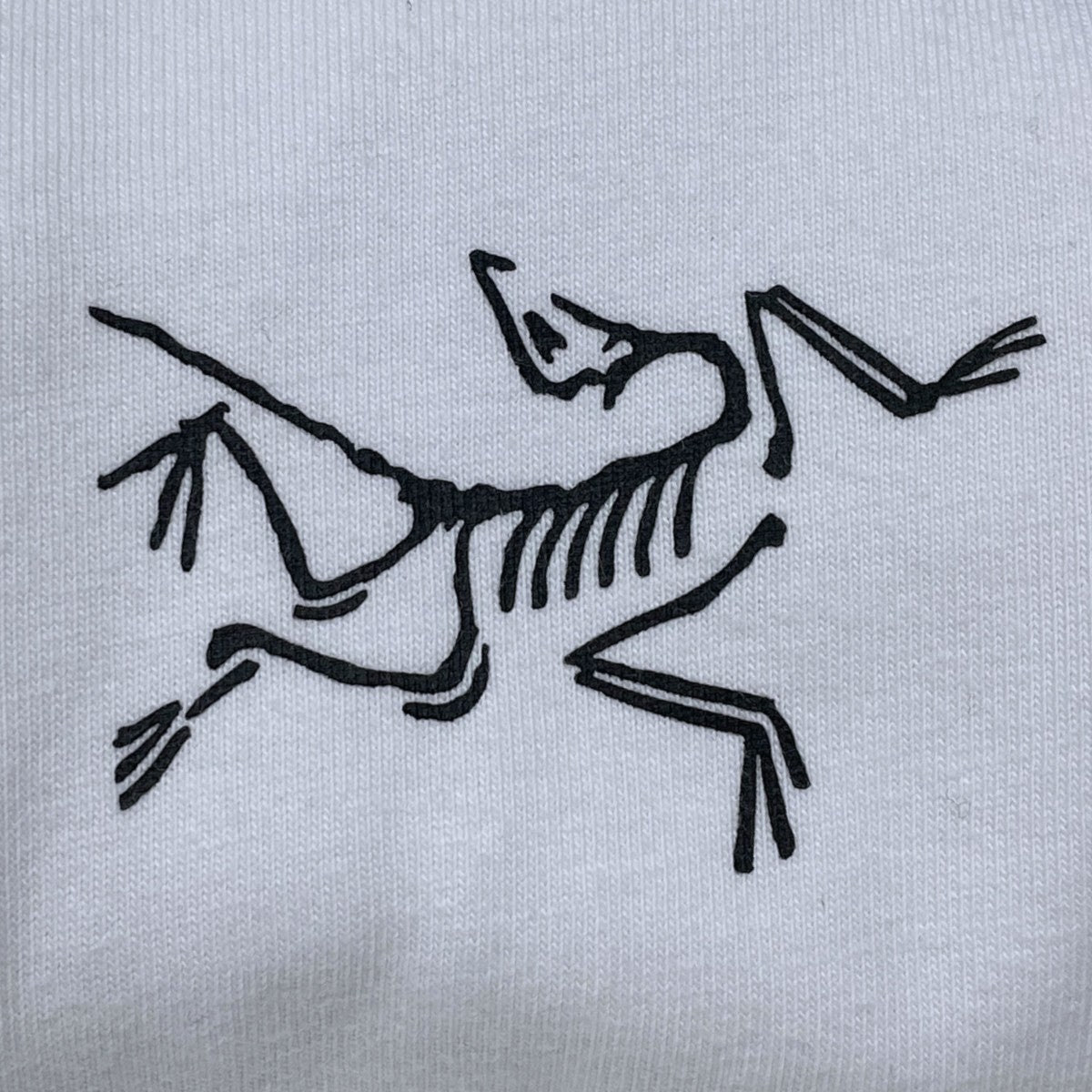 長袖カットソー Kragg Cotton LS クラッグ コットン ロングスリーブ X000009714