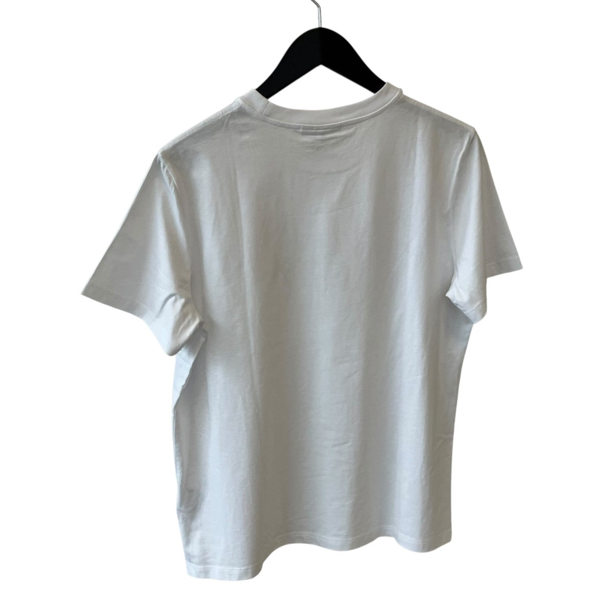 24AWTシャツT3921-24AW