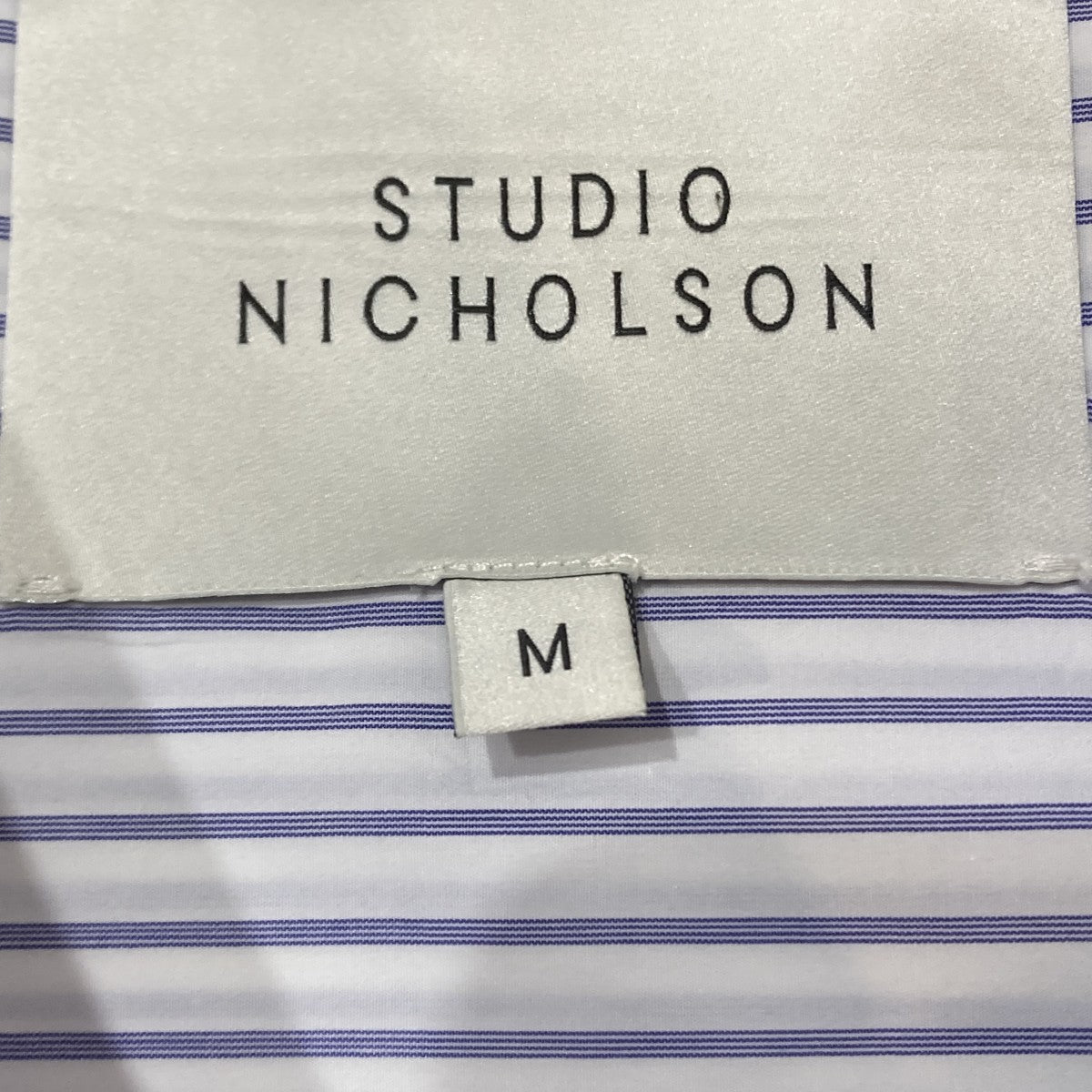 STUDIO NICHOLSON(スタジオニコルソン) STUDIO NICHOLSON／BIG／ALBINI