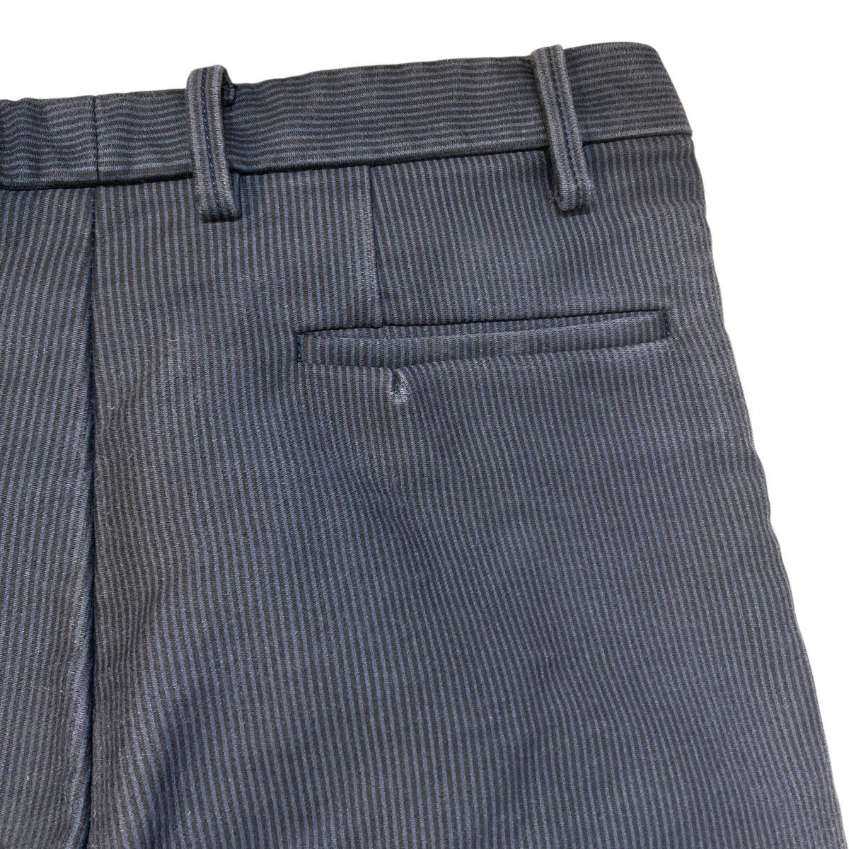 HAMBURG STRIPE COTTON TROUSERパンツ0513077
