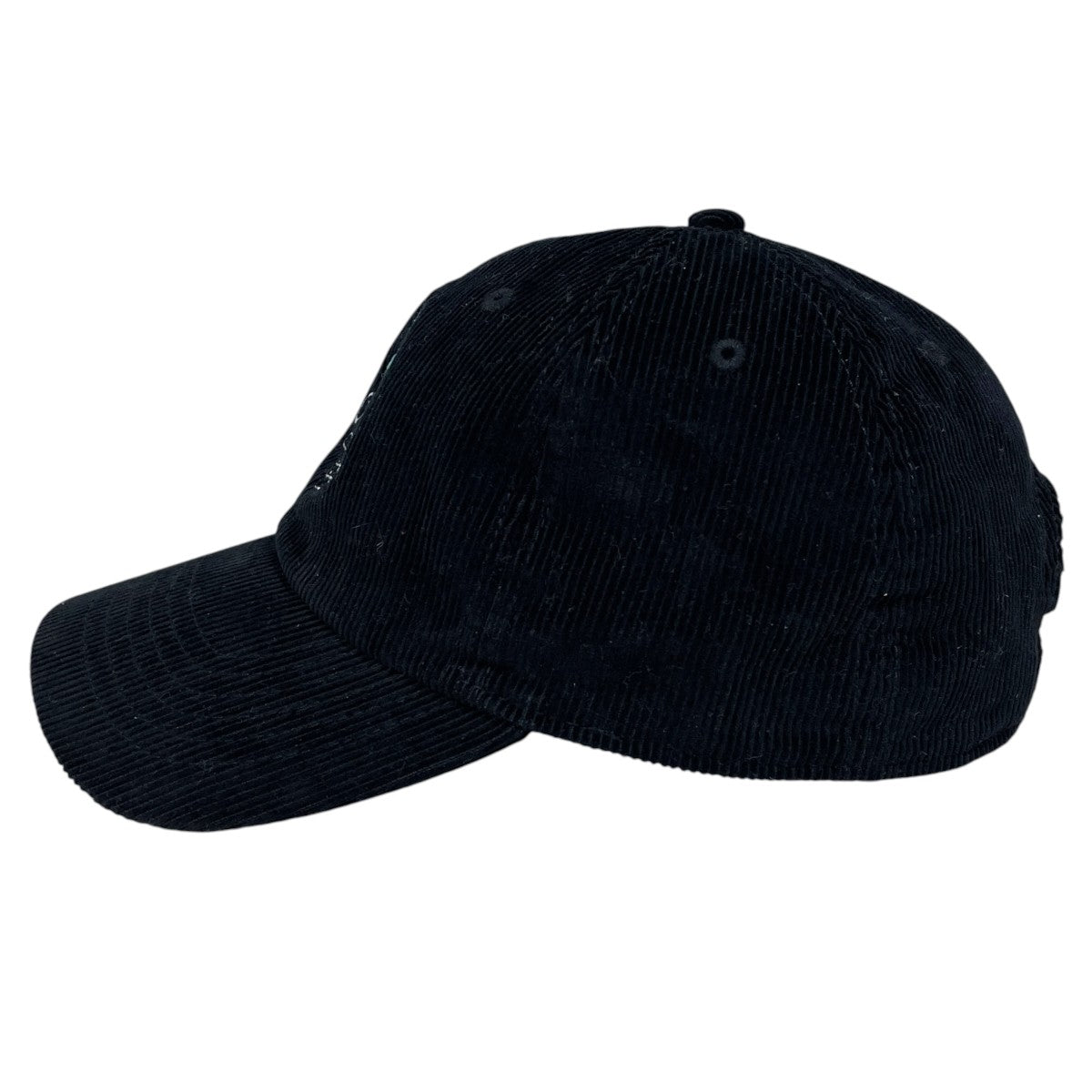 CHALLENGER コーデュロイ6パネルキャップ 25’ SNAKE CAP トゥエンティファイブ スネーク キャップ CLG-AC 025-030 古着・中古-3枚目のアイテム画像