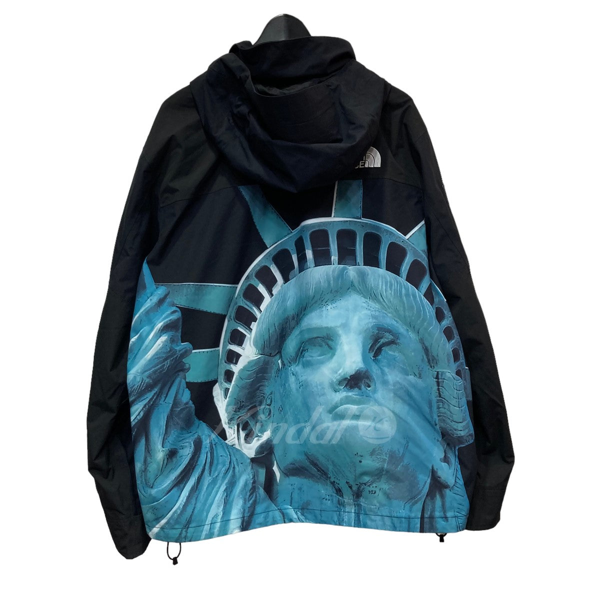 SUPREME×THE NORTH FACE 「Statue of Liberty Mountain Jacket 