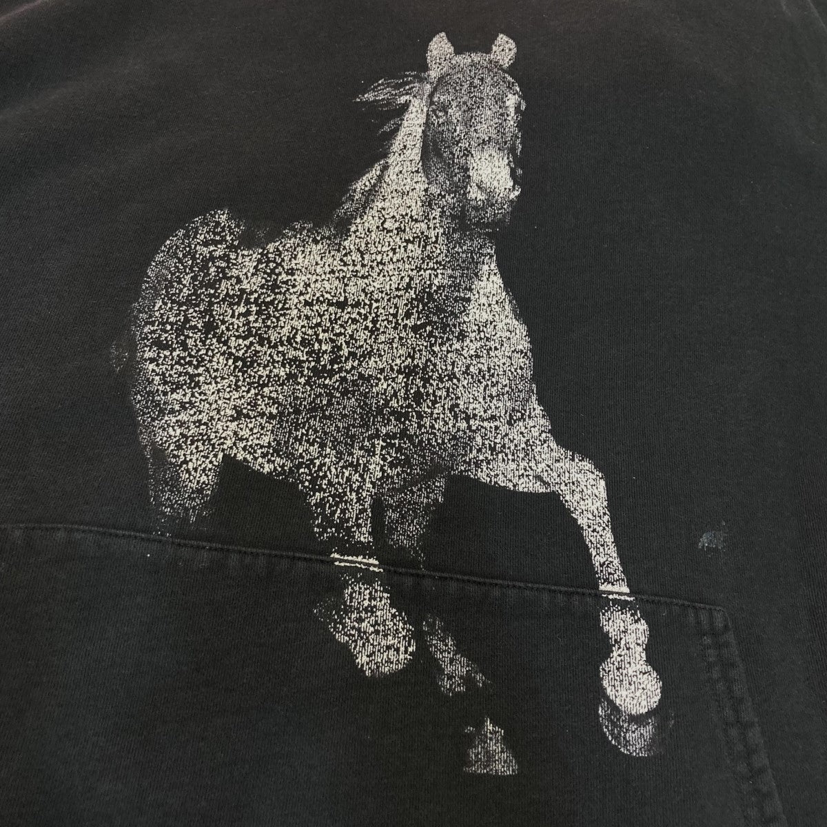 CELINE×THE BANKS VIOLETTE 22AWホースプリントパーカー2Y901670Q 古着・中古-10枚目のアイテム画像