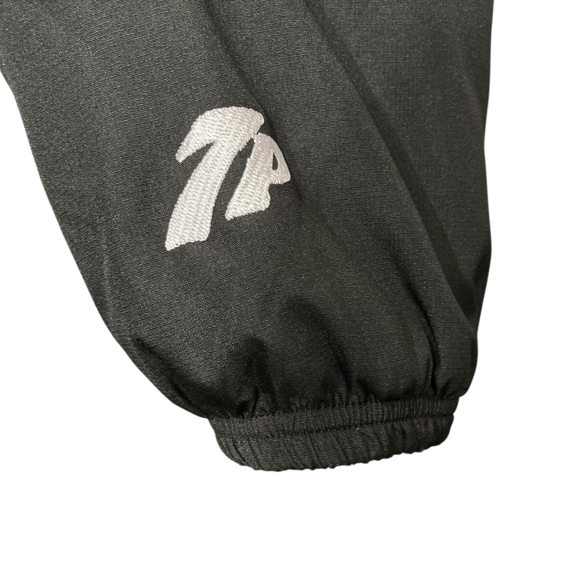 25AWMicro Ripstop Hood in Jacketマイクロリップストップジャケット