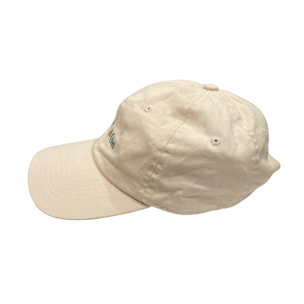 CLASSIC WORDMARK DAD HATキャップ