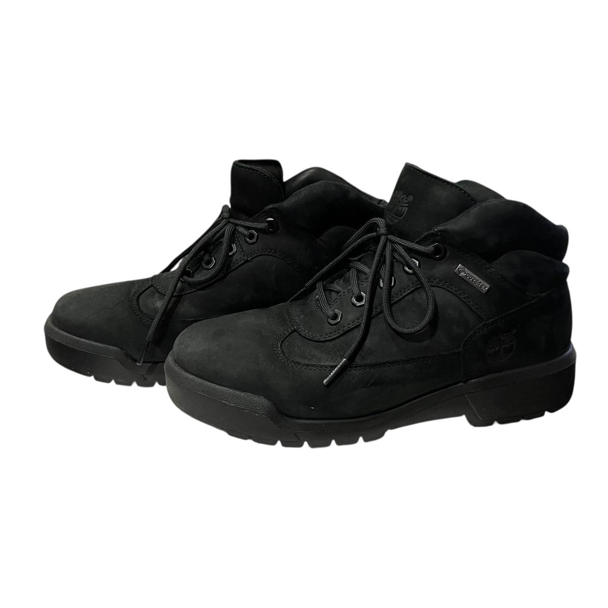 25AWField Boots GTX Blackブーツ
