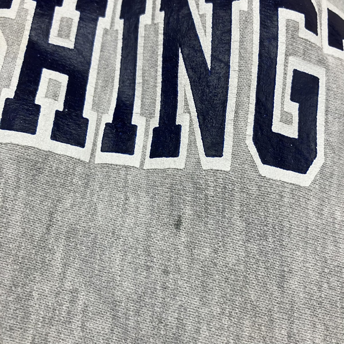 Champion REVERSE WEAVE 90’S JCC GREATER WASHINGTONクルーネックスウェット 古着・中古-3枚目のアイテム画像