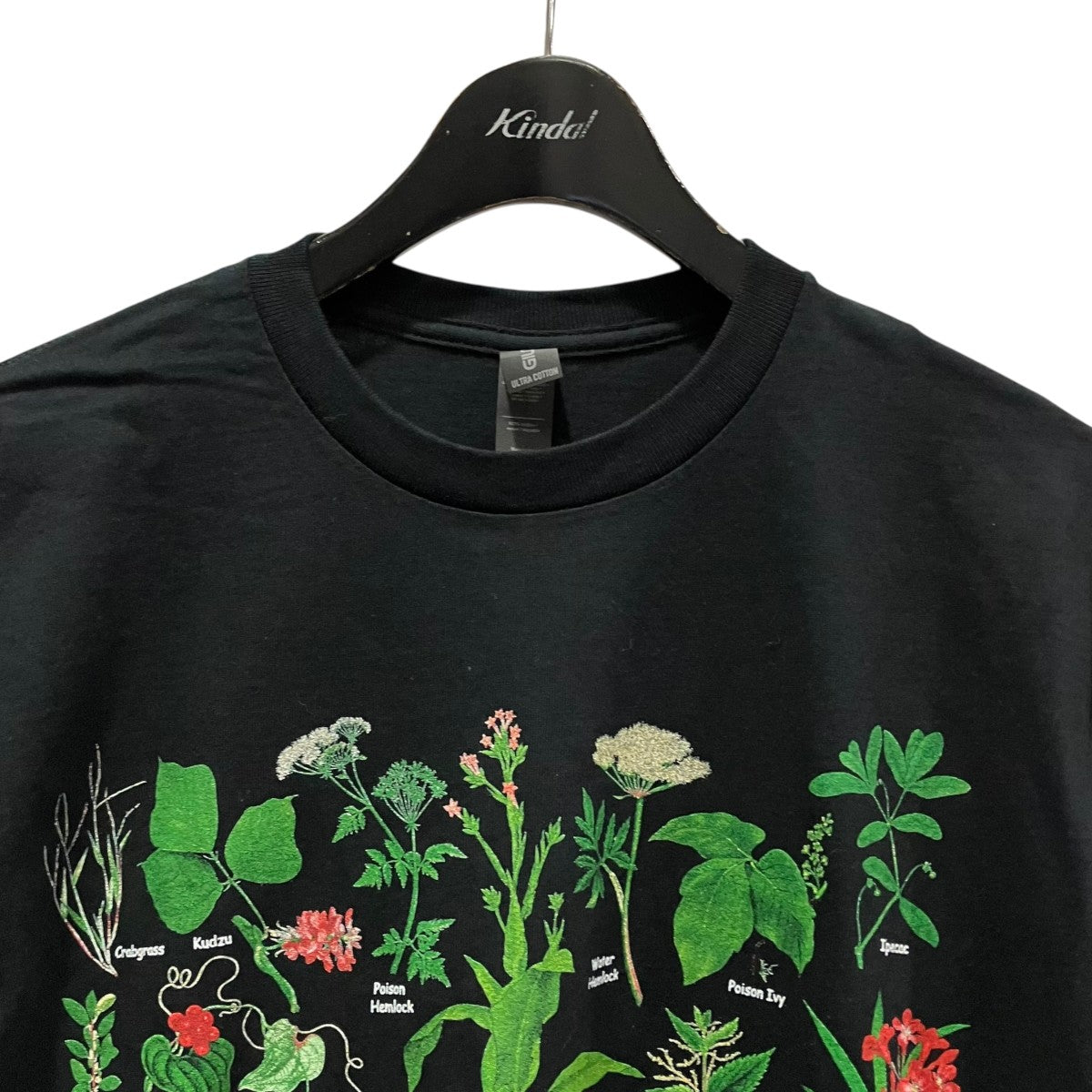 GILDAN Obnoxious Plants T-shirtプラントTシャツ 古着・中古-3枚目のアイテム画像