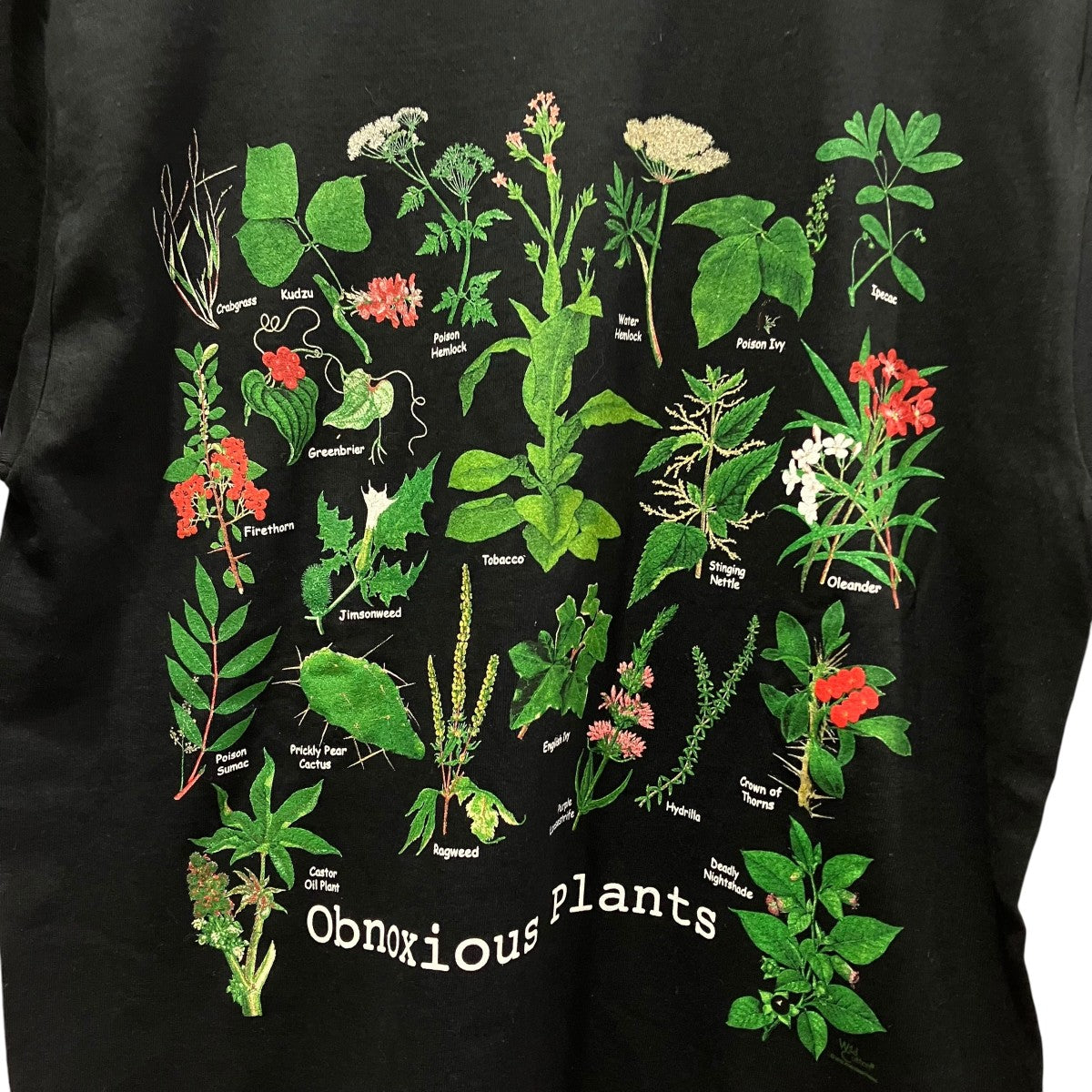 GILDAN Obnoxious Plants T-shirtプラントTシャツ 古着・中古-4枚目のアイテム画像