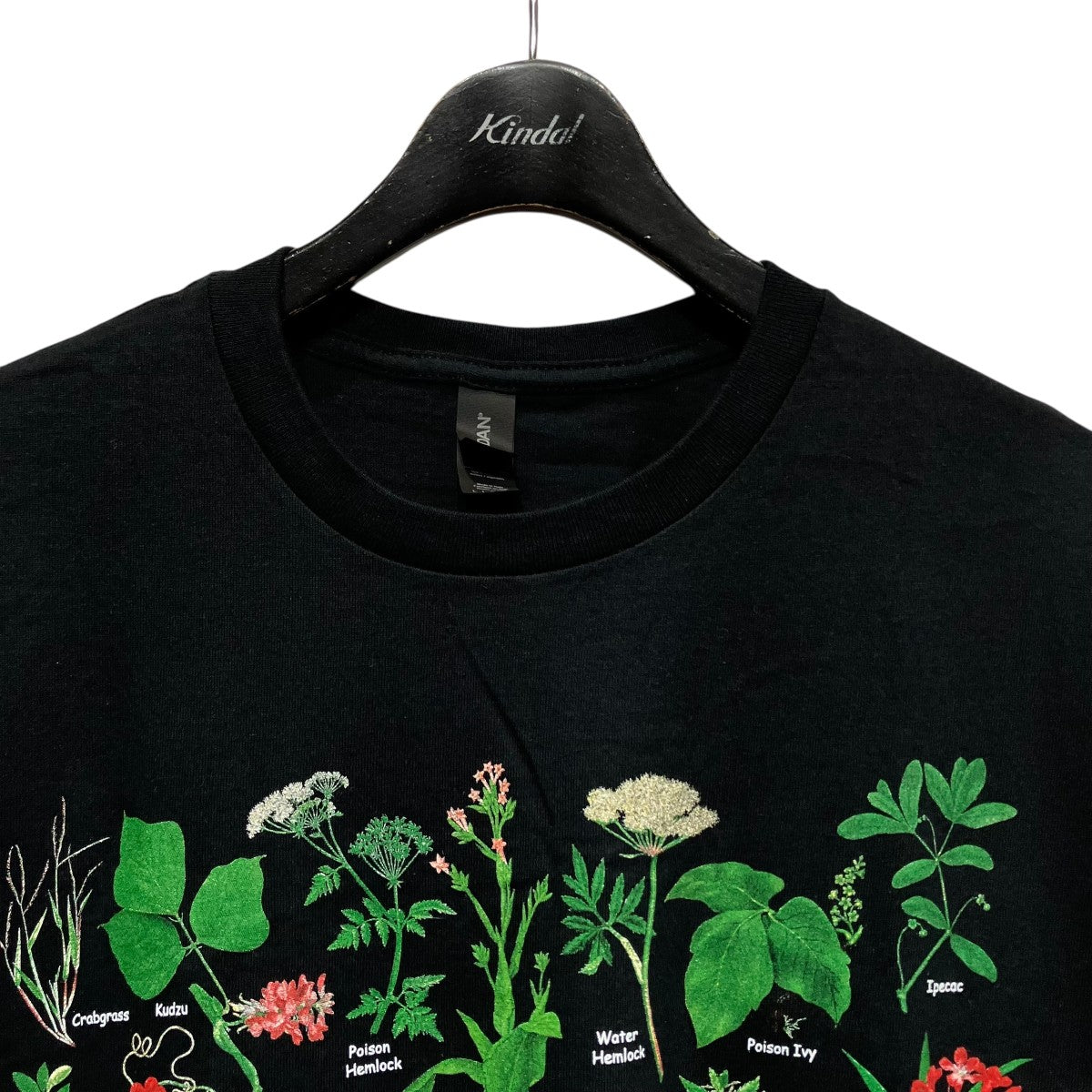 GILDAN Obnoxious Plants T-shirtプラントTシャツ 古着・中古-3枚目のアイテム画像