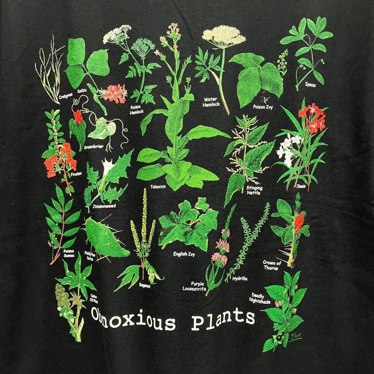 GILDAN Obnoxious Plants T-shirtプラントTシャツ 古着・中古-4枚目のアイテム画像