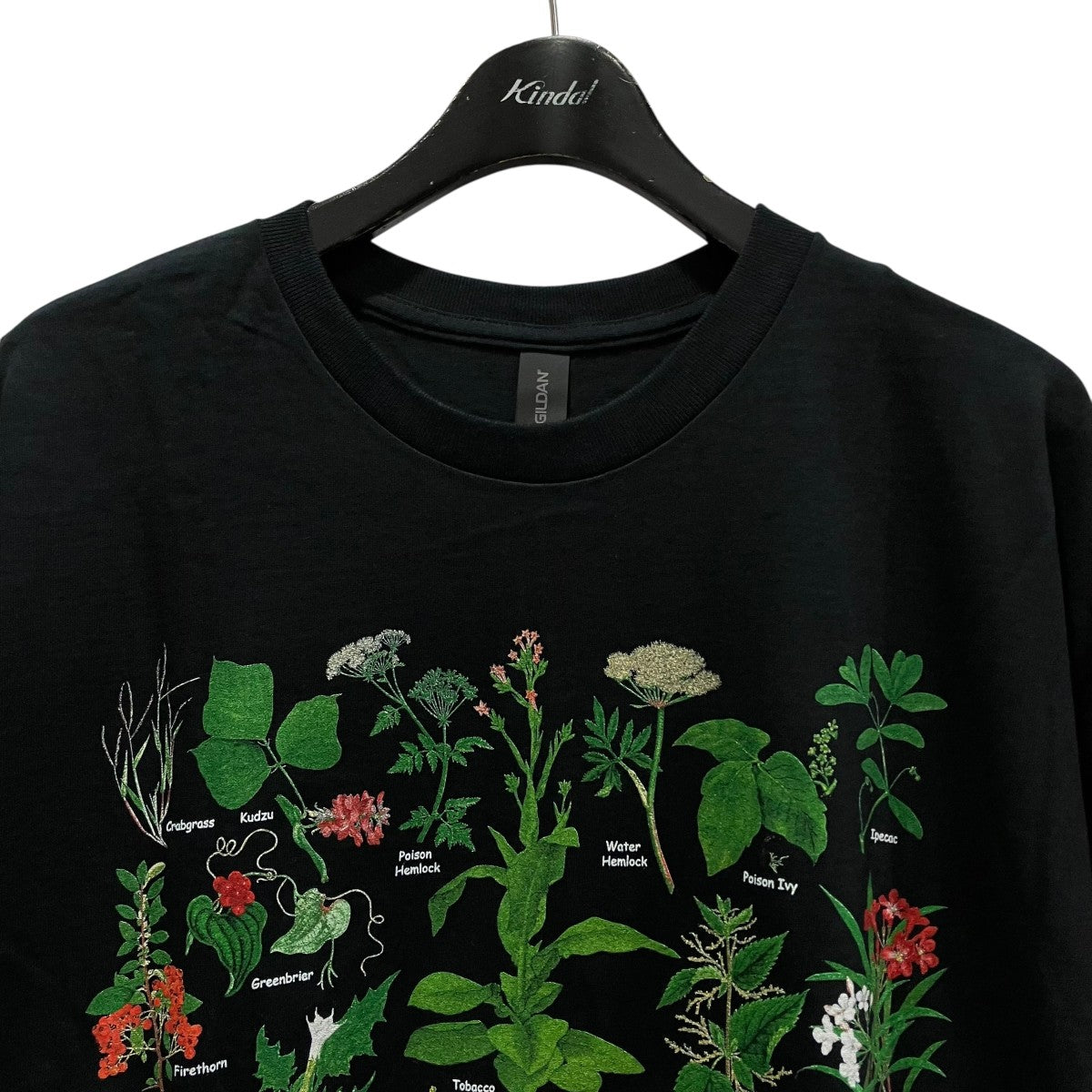 GILDAN Obnoxious Plants T-shirtプラントTシャツ 古着・中古-3枚目のアイテム画像