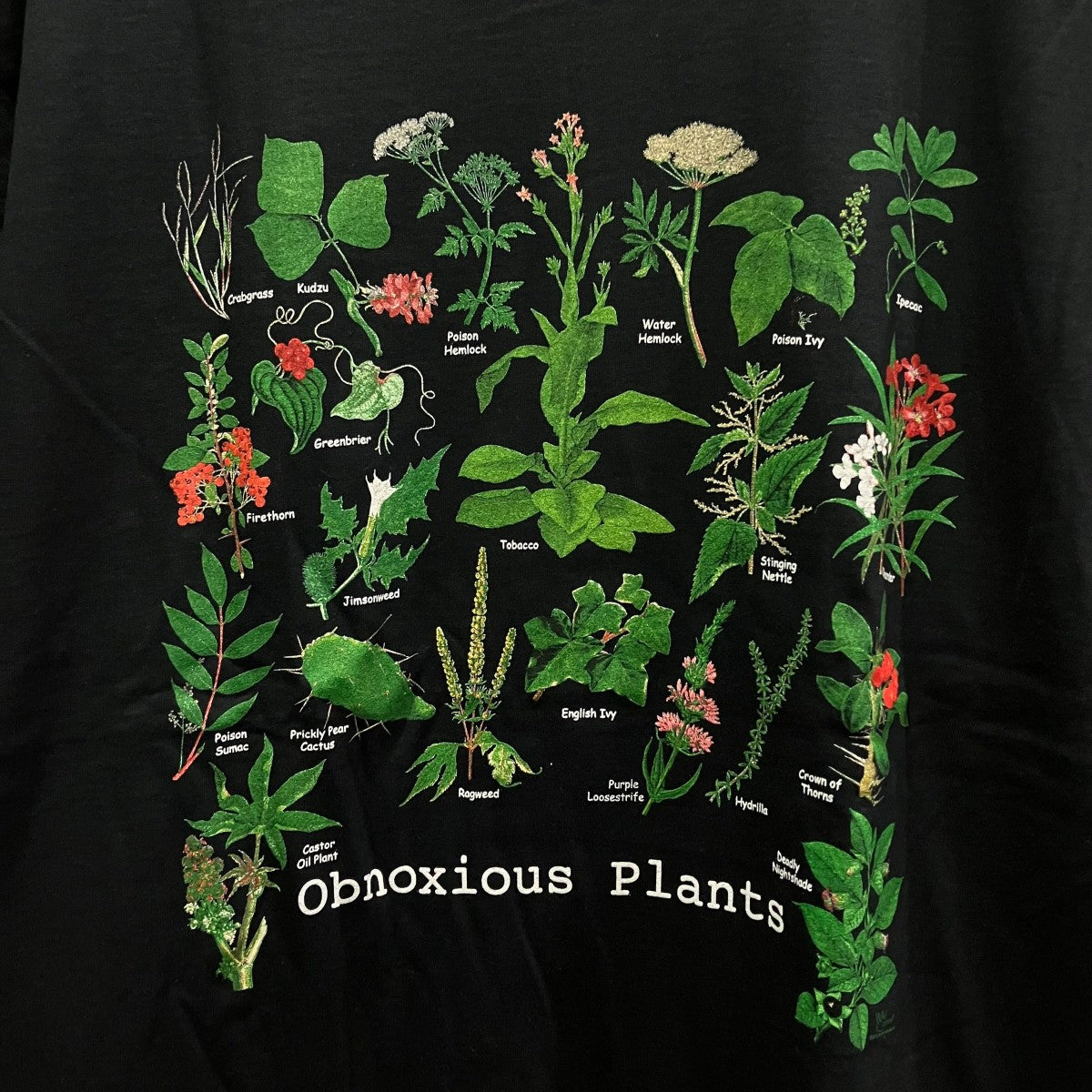 GILDAN Obnoxious Plants T-shirtプラントTシャツ 古着・中古-4枚目のアイテム画像