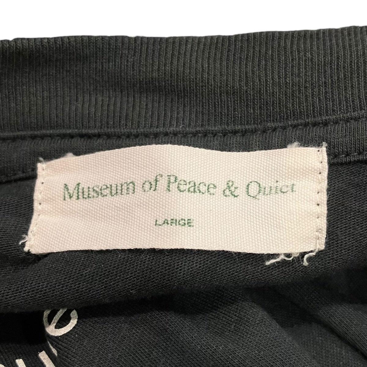 Museum of Peace ＆ Quiet 25SSAkashic Records T-ShirtプリントTシャツ25071597012910 古着・中古-4枚目のアイテム画像