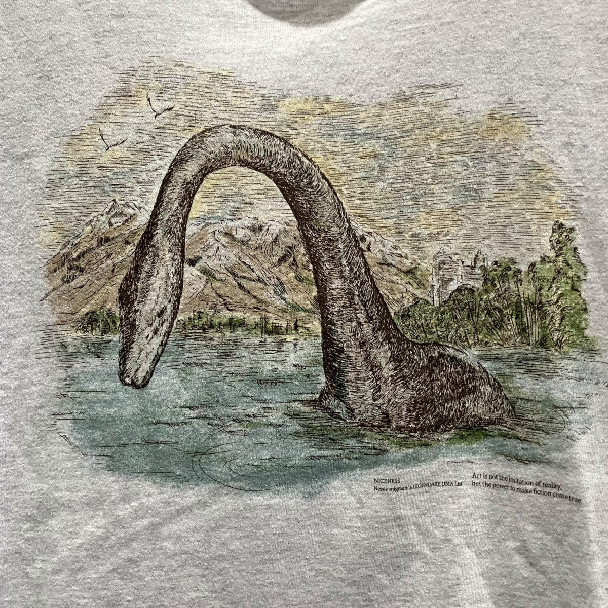 NICENESS ネッシーＴシャツNN-4102J16 古着・中古-4枚目のアイテム画像