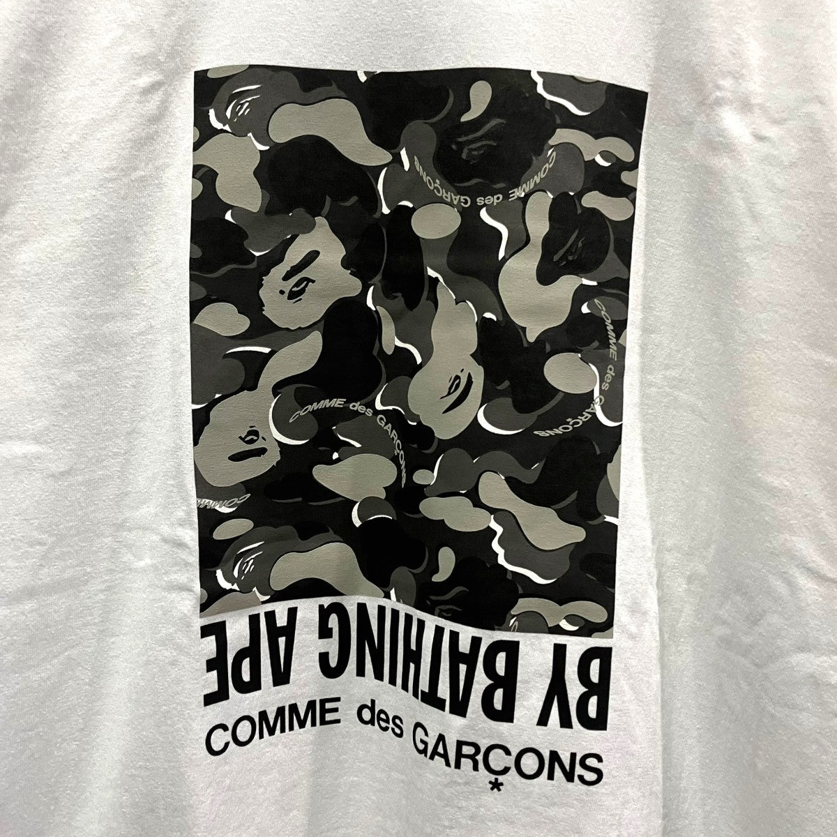 カモボックスTシャツ001TEM231923C