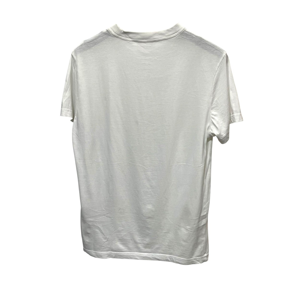 半袖TシャツDNA829 S191