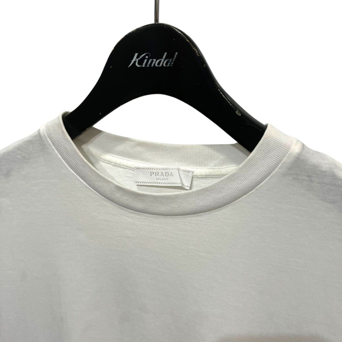 半袖TシャツDNA829 S191