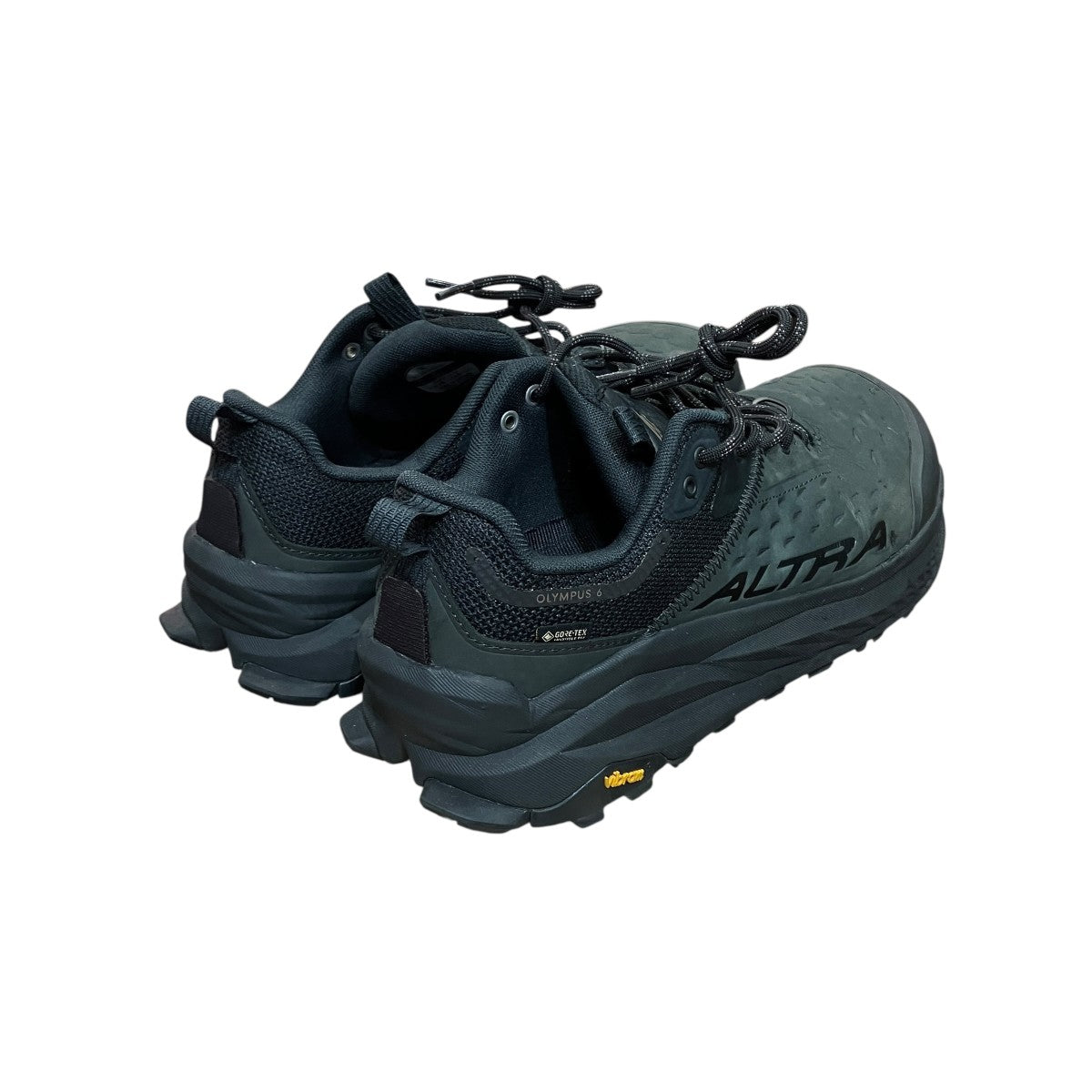 OLYMPUS 6 HIKE LOW GTX MスニーカーAL0A85NM000