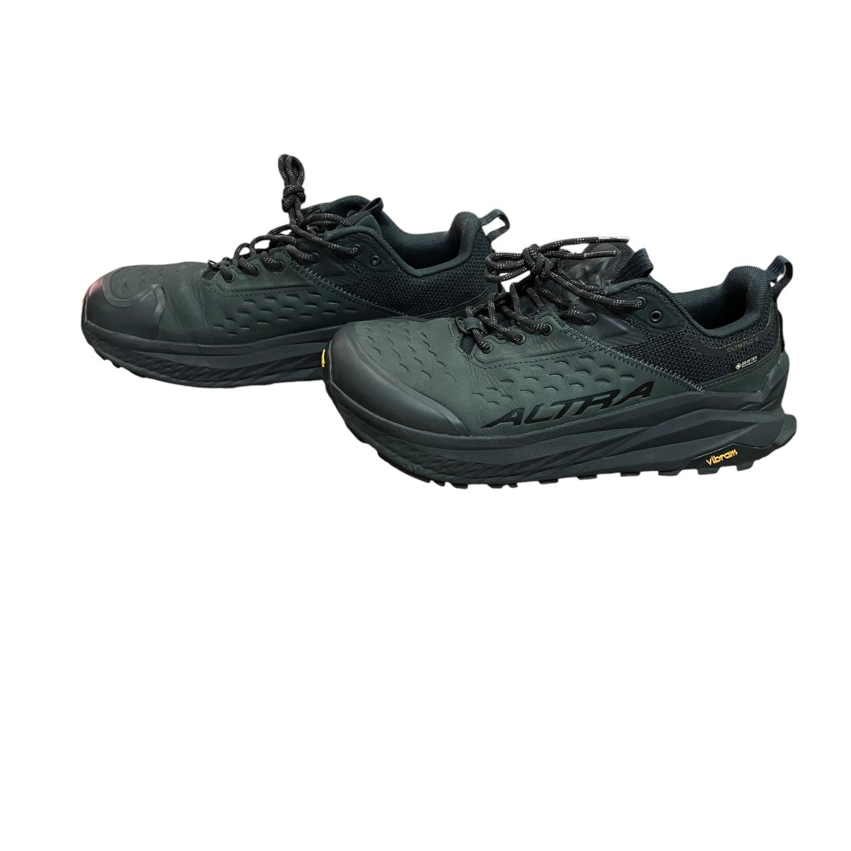OLYMPUS 6 HIKE LOW GTX MスニーカーAL0A85NM000