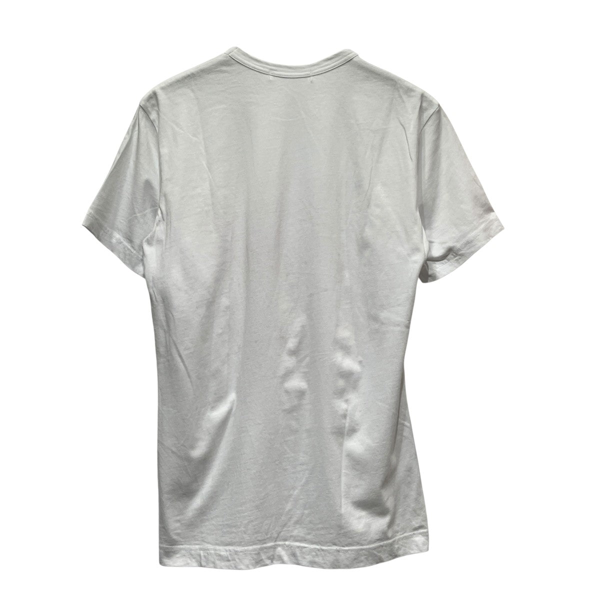 プリントTシャツFI-T08