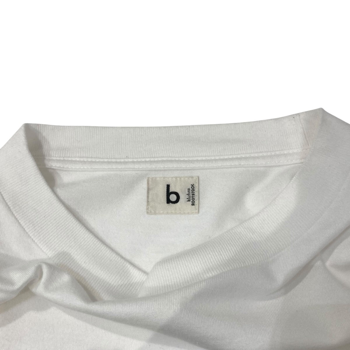 プリントTシャツbROOTS24S34