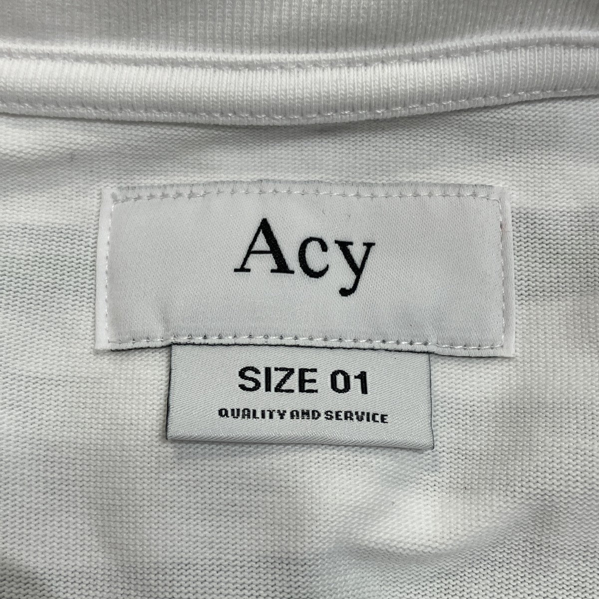 ボーダーTシャツACY-23SS-004