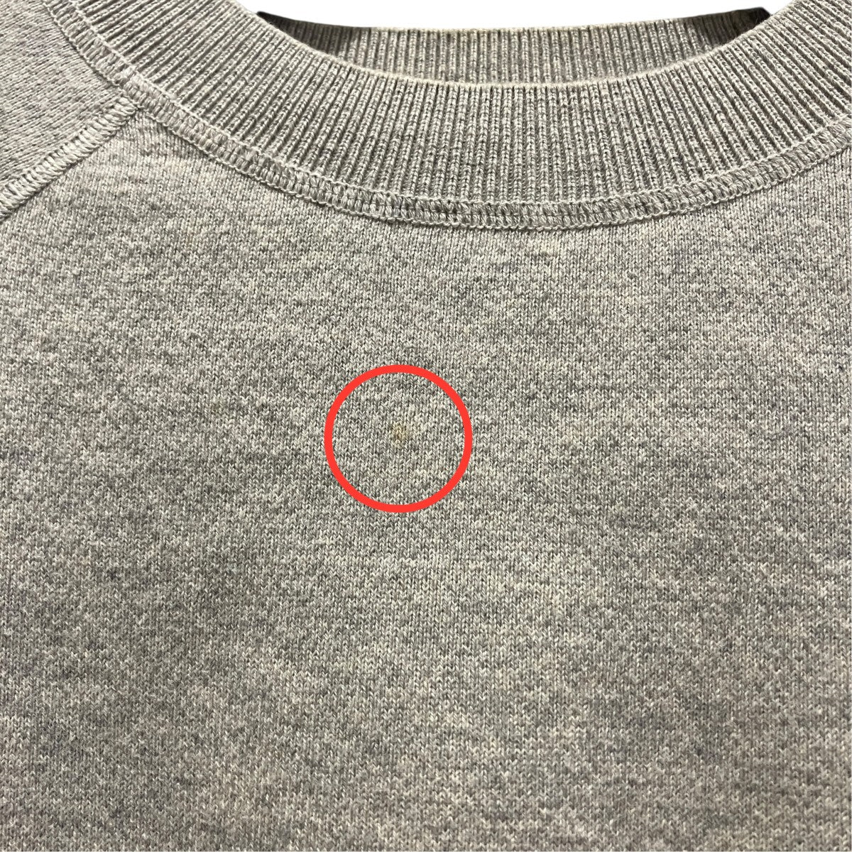 Compact Raglan Knitコンパクトニット12420525