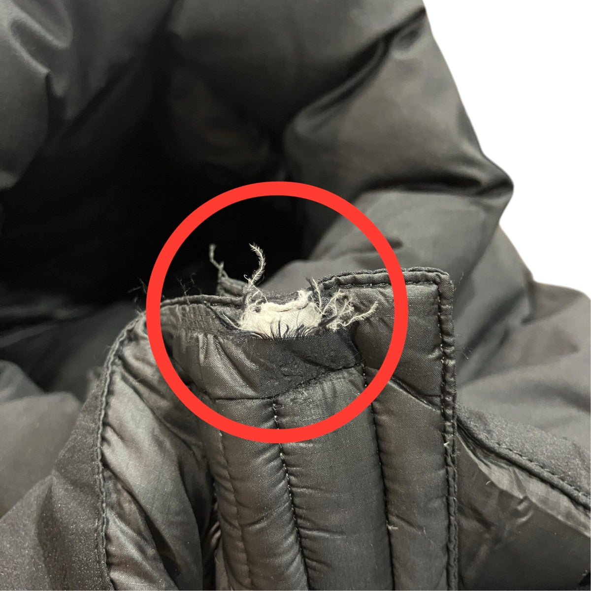 THE NORTH FACE ダウンジャケットND91661 古着・中古-6枚目のアイテム画像