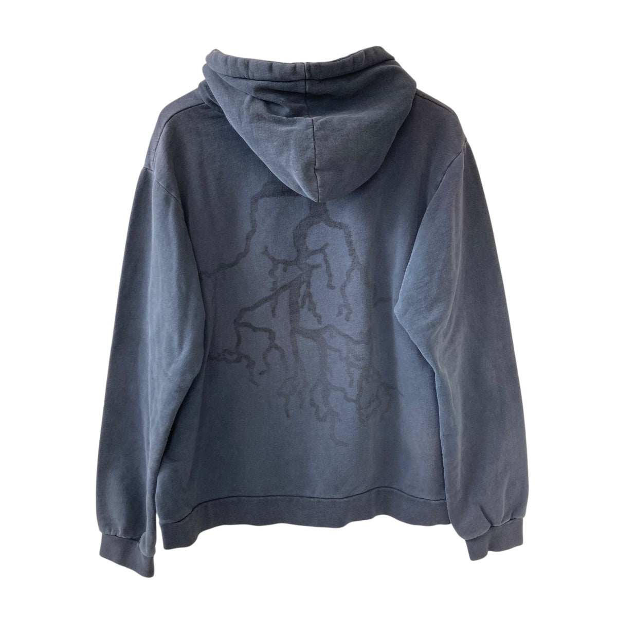 RAF SIMONS(ラフシモンズ) 02AWVirginia Creeper Roots Hoodie