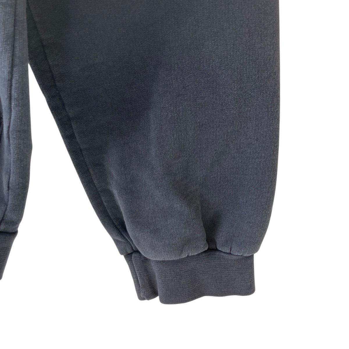 RAF SIMONS(ラフシモンズ) 02AWVirginia Creeper Roots Hoodieプル