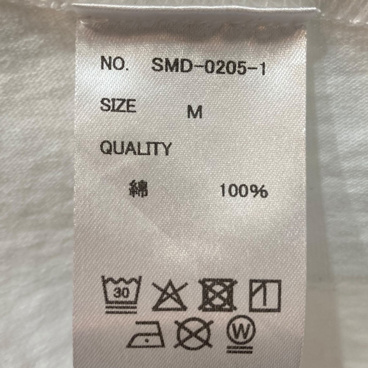 MINNANO Dsmg Sp Tee半袖TシャツSMD-0205-1 古着・中古-6枚目のアイテム画像