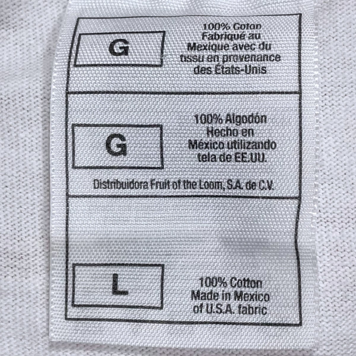 Hanes レインボーアップルロゴプリントTシャツ Apple Park限定 古着・中古-6枚目のアイテム画像