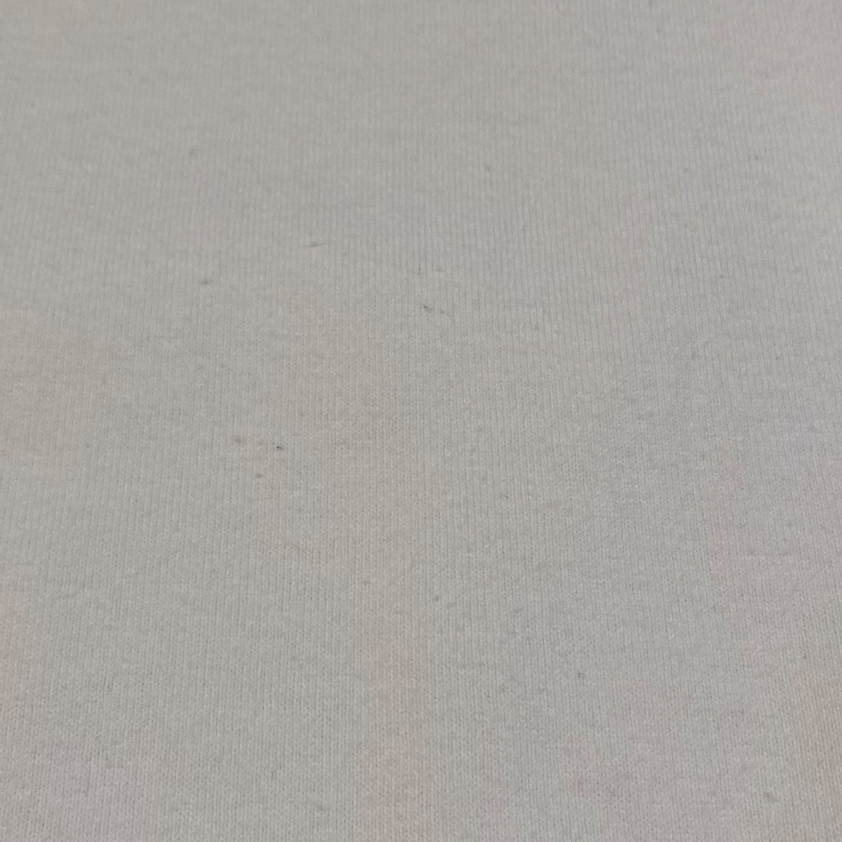 VINCENT TSANG GRATITUDE SS TEE半袖TシャツEV23-CS06