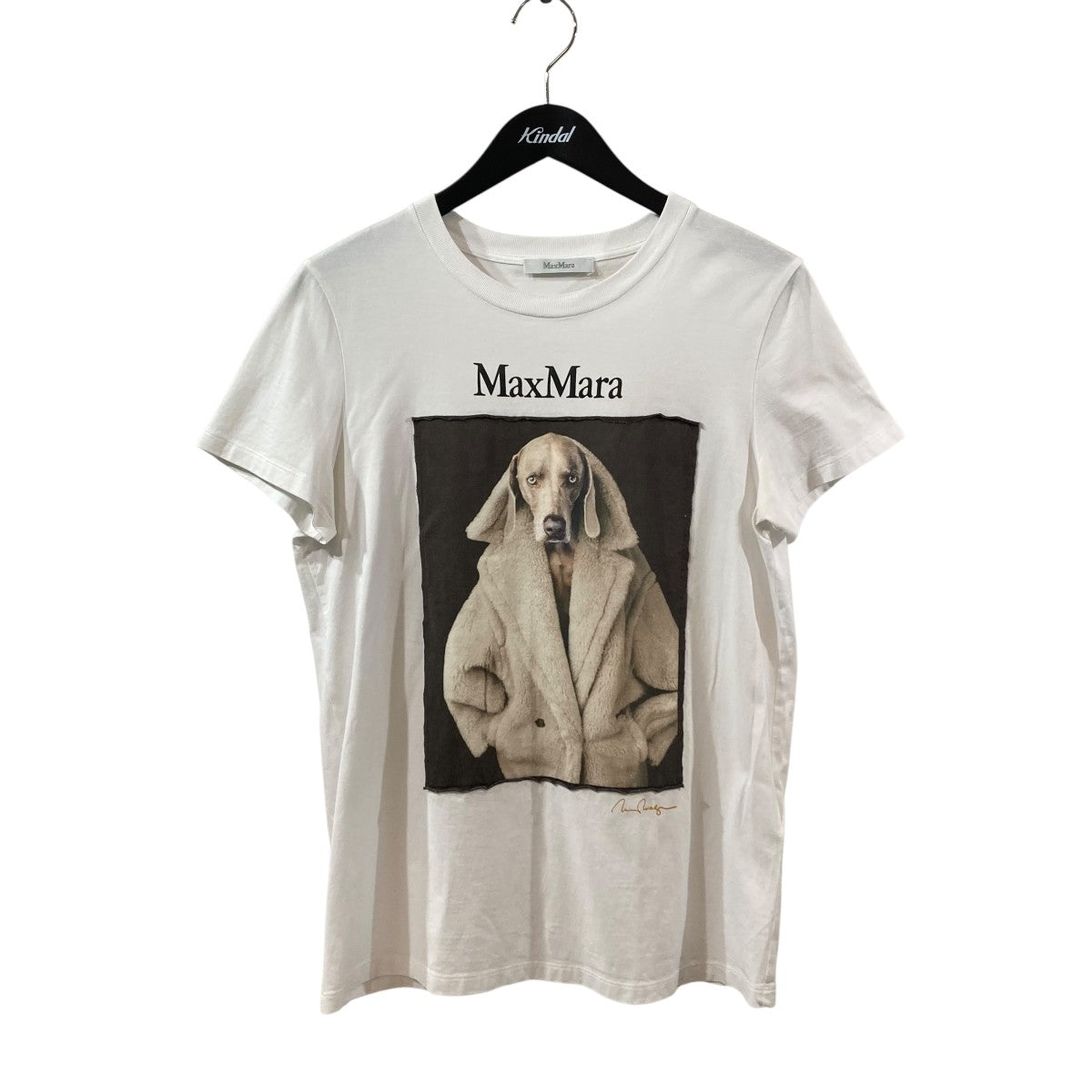 MaxMara ドック柄プリントTシャツ2319460339 古着・中古-1枚目のアイテム画像