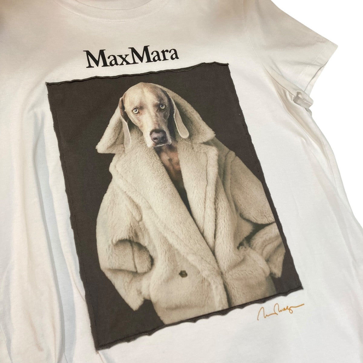 MaxMara ドック柄プリントTシャツ2319460339 古着・中古-5枚目のアイテム画像