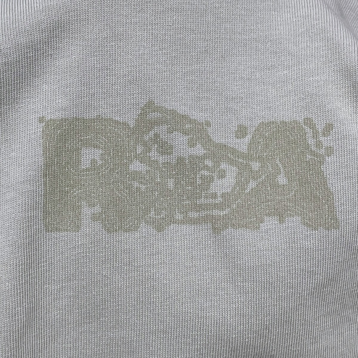 24SS 半袖Tシャツ Shortsleeve Graphic Tee ショートスリーブ グラフィック ティー RBMW086FA63