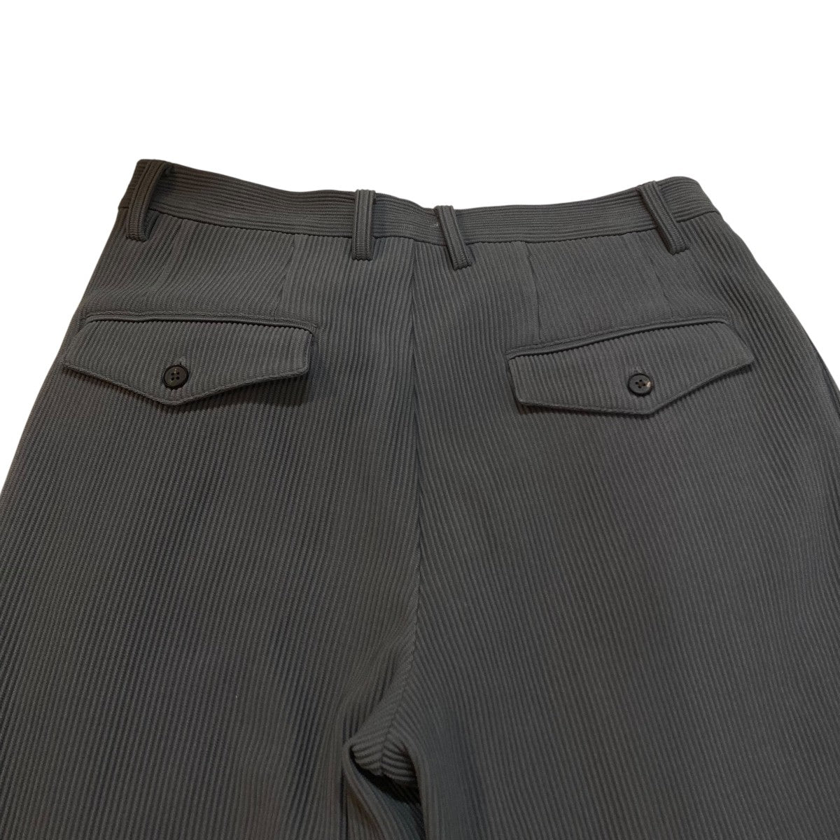 stein(シュタイン) GRADATION PLEATS WIDE TROUSERSイージーパンツST