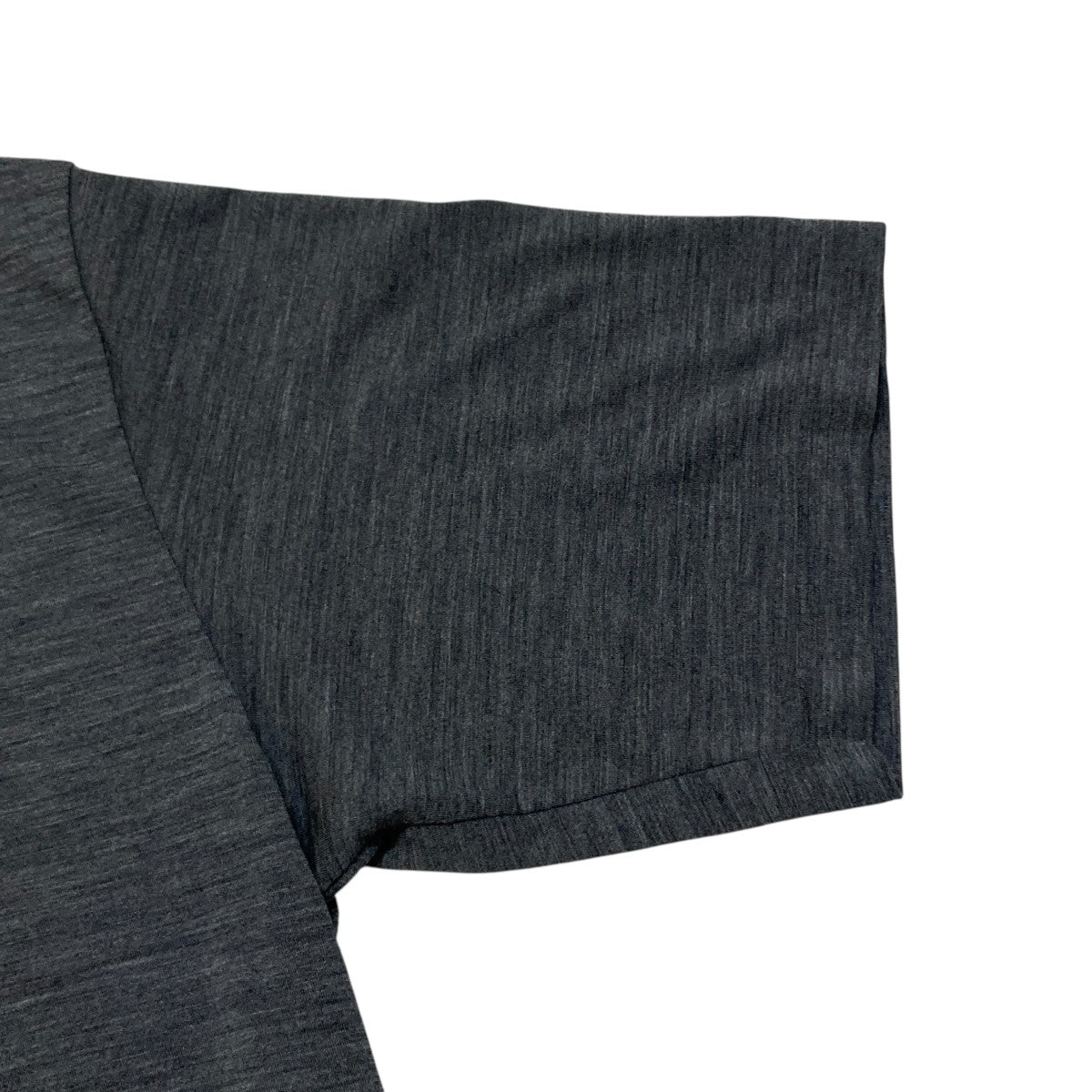 SUPER SOFT WOOL JERSEY TEETシャツA25ST01UT